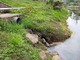 全面推进生活污水处理，促进农村生态环境高质量发展