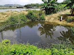 养殖场污水不乱排，环保设备帮大忙